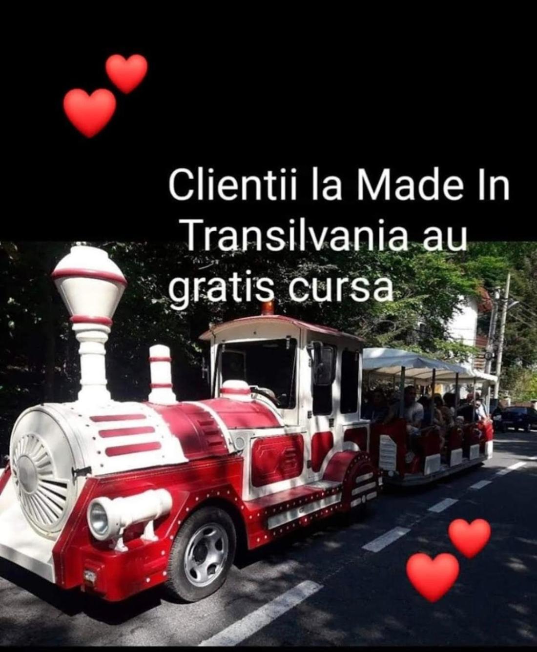 Made In Transilvania Sighișoara Zewnętrze zdjęcie